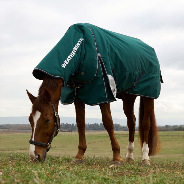 2025 Weatherbeeta Comfitec Plus Dynamic Turnout Detach-A-Neck 1029004 - Forest Green